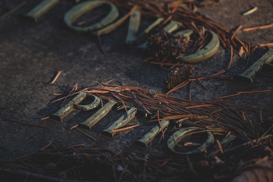 Zodiac signs: Past life