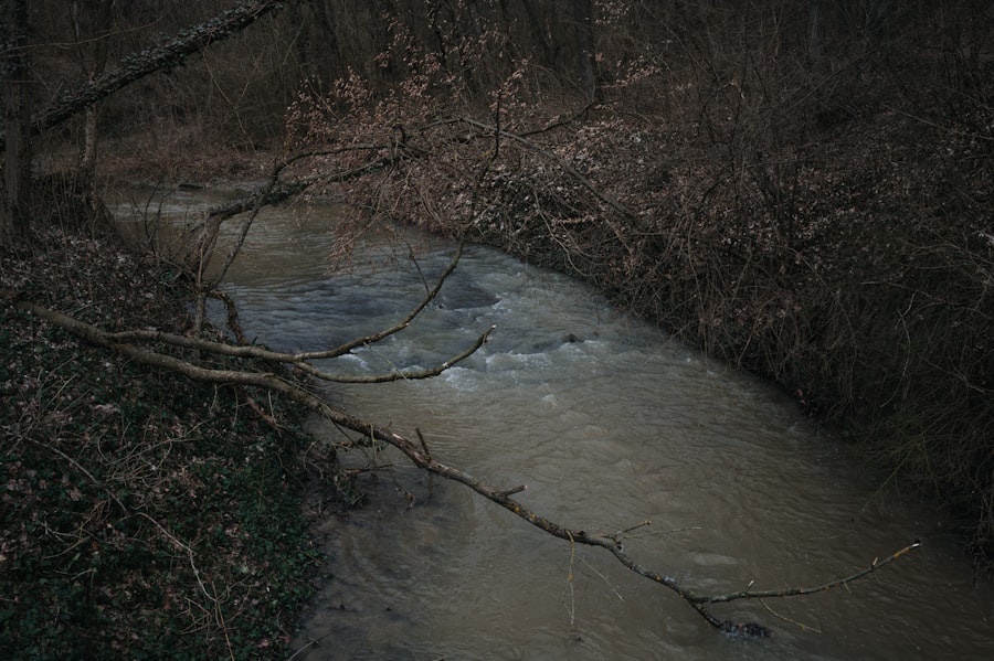 Photo Muddy water