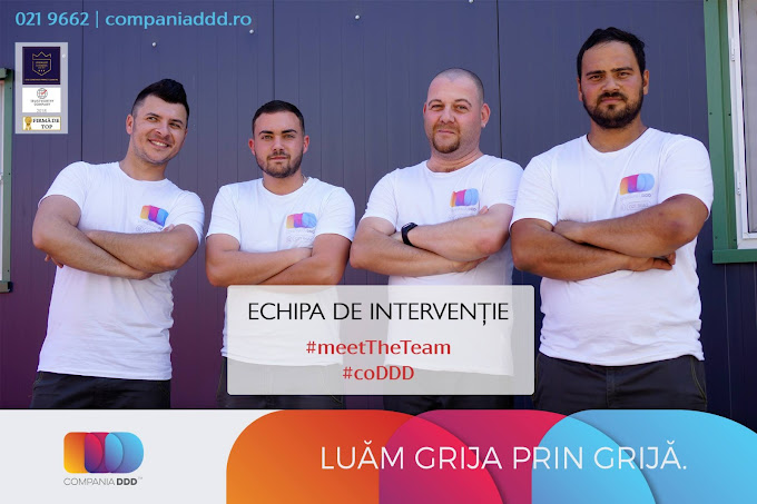 Ce trebuie să știi despre procedurile profesionale DDD