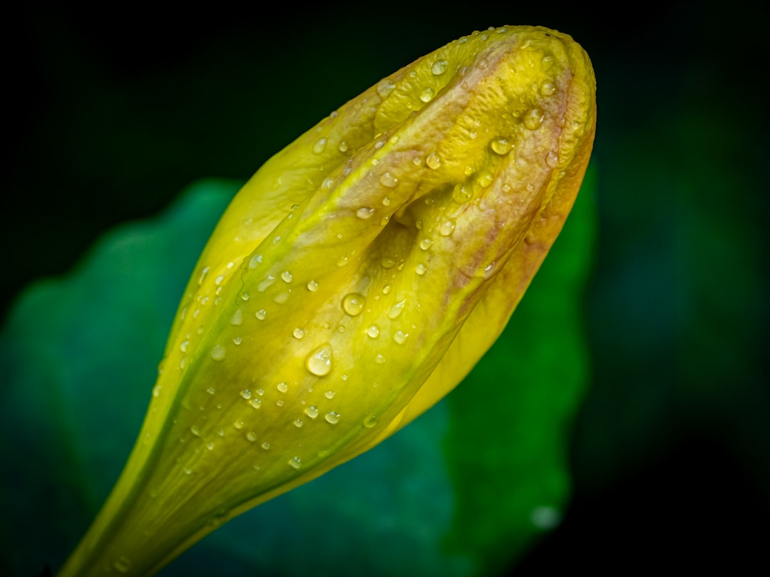 Photo health maintenance