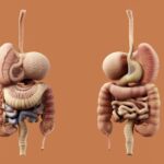Photo digestive problems
