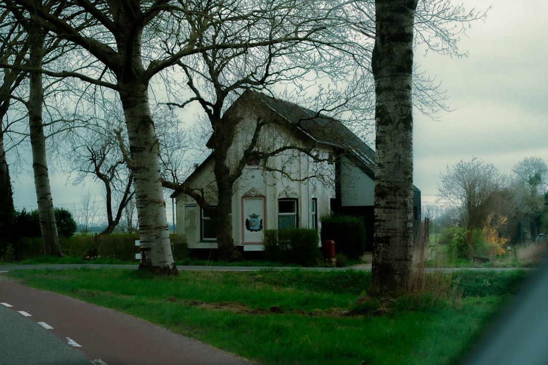 Photo dreams with houses