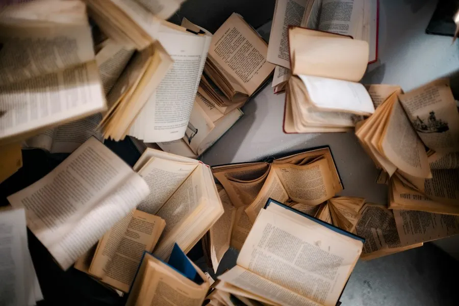 common mistakes contemporary literature