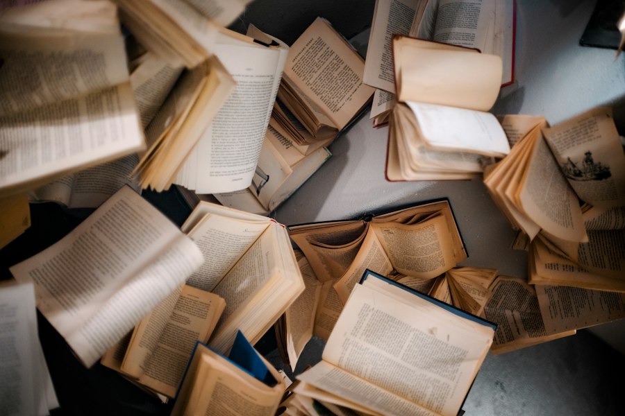 literary reviews guide